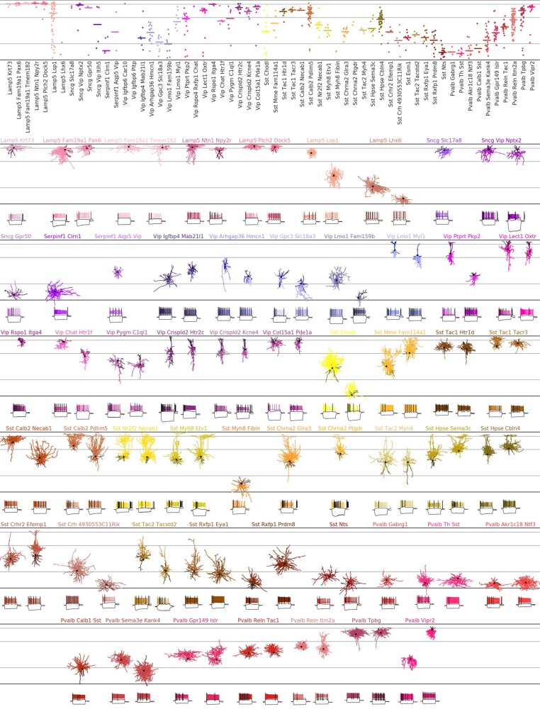 Extended Data Fig. 9