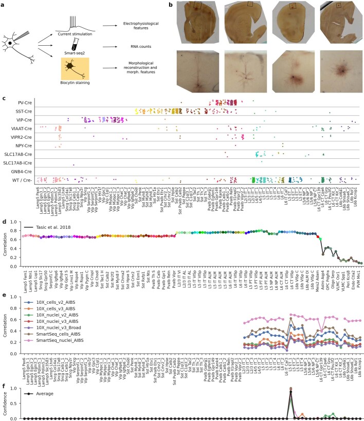 Extended Data Fig. 1