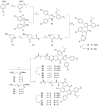 Scheme 1