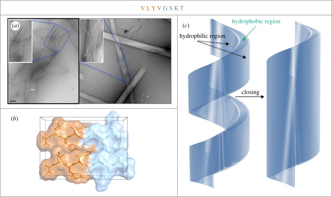 Figure 3.