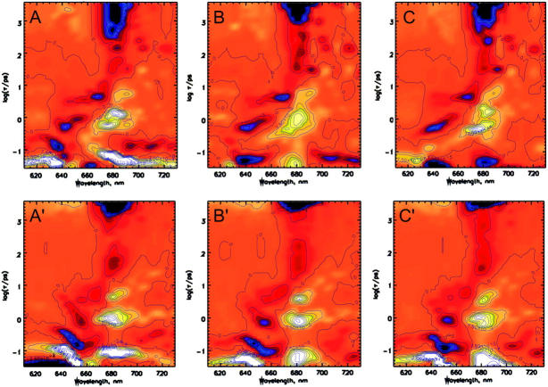 FIGURE 3