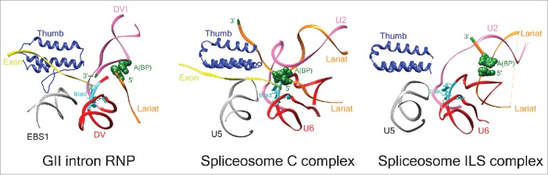 Figure 2.