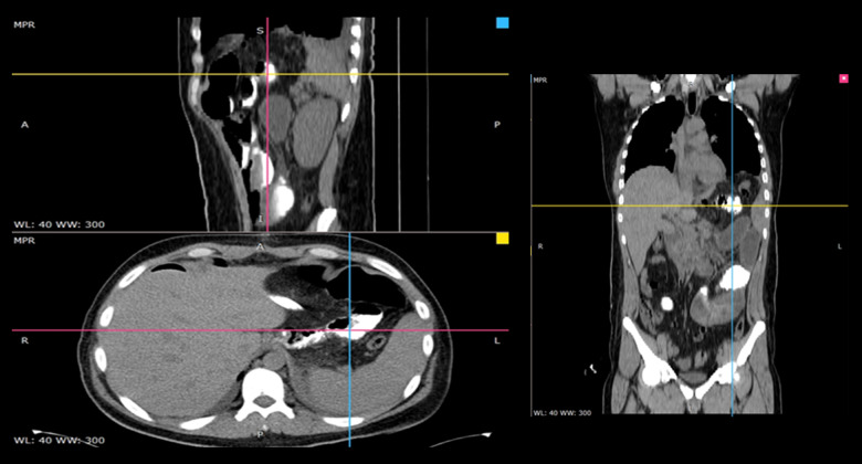 Figure 1.