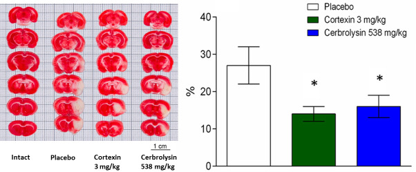 Fig 10