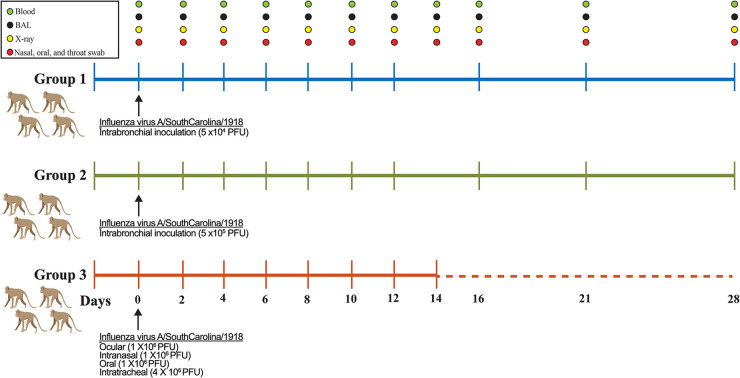 FIG 2