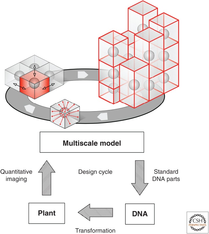 Figure 4.