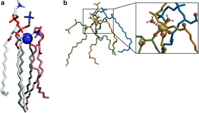 Fig. 2