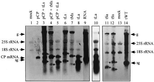 FIG. 5