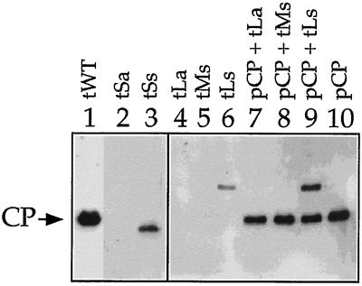 FIG. 6