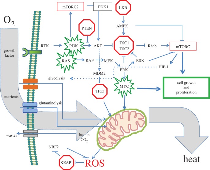 Figure 1.