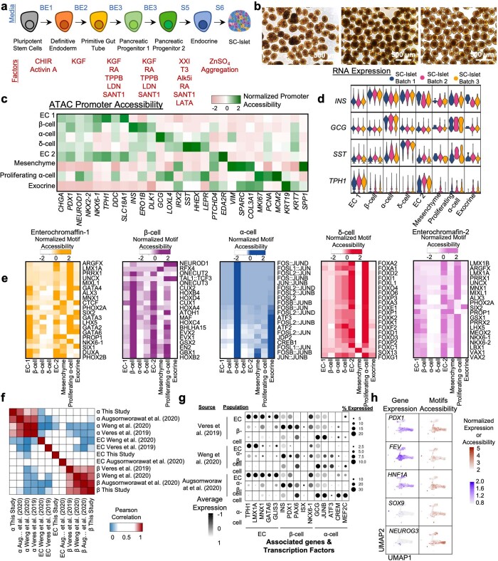 Extended Data Fig. 1