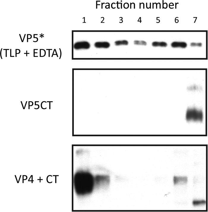 FIG. 7.