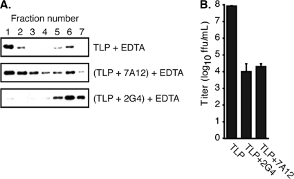 FIG. 5.