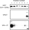 FIG. 7.