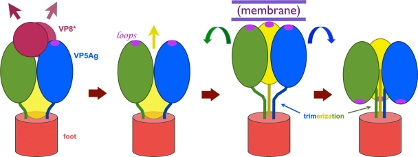 FIG. 8.