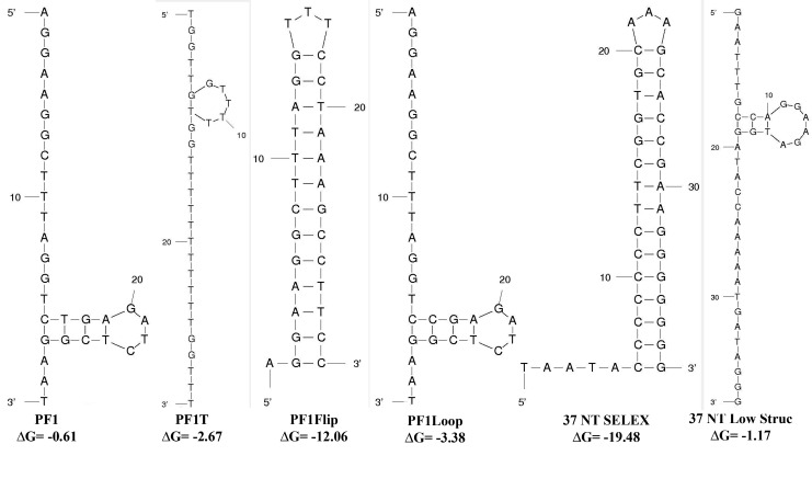 FIG. 2.