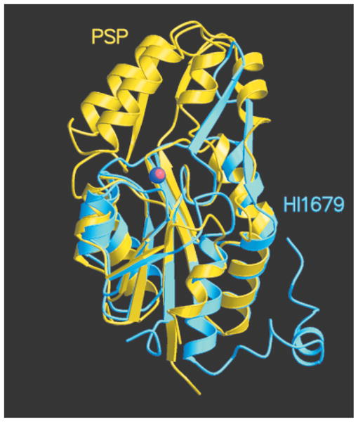 Fig. 8