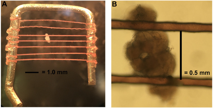 Figure 4.