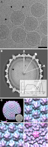Fig. 4.