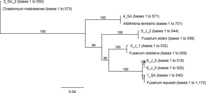 Figure 5