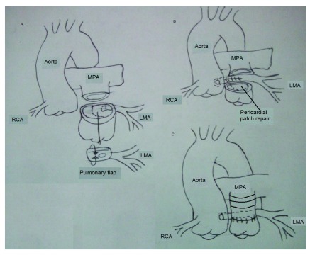 Figure 3. 