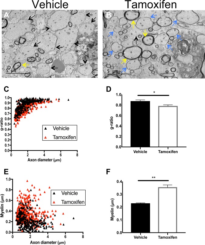 FIG 6