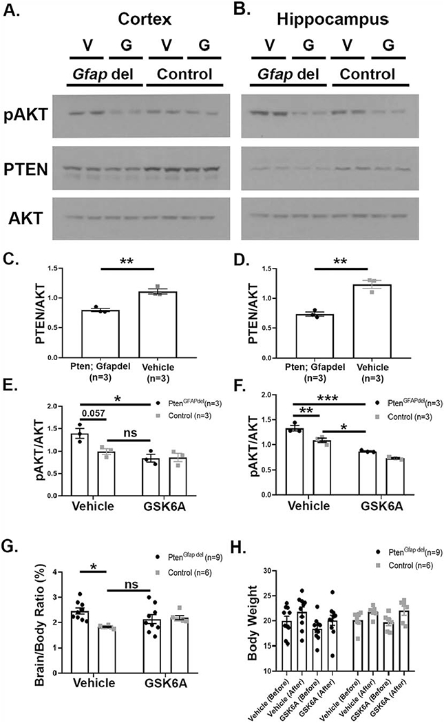 Figure 6: