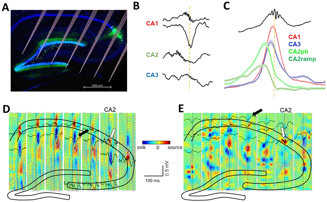 Figure 3: