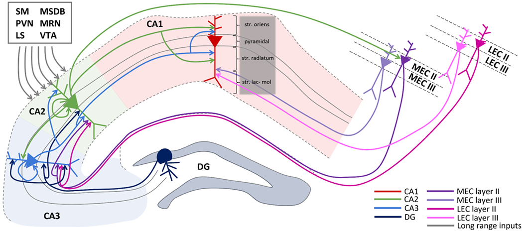 Figure 1: