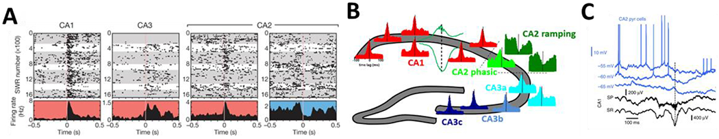 Figure 2: