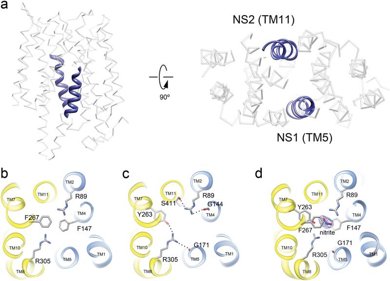 Fig. 2