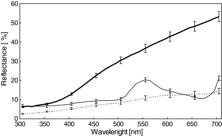 Fig. 3