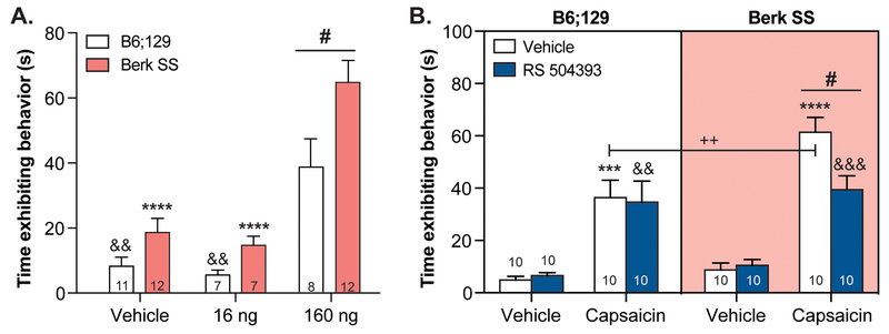 Figure 6: