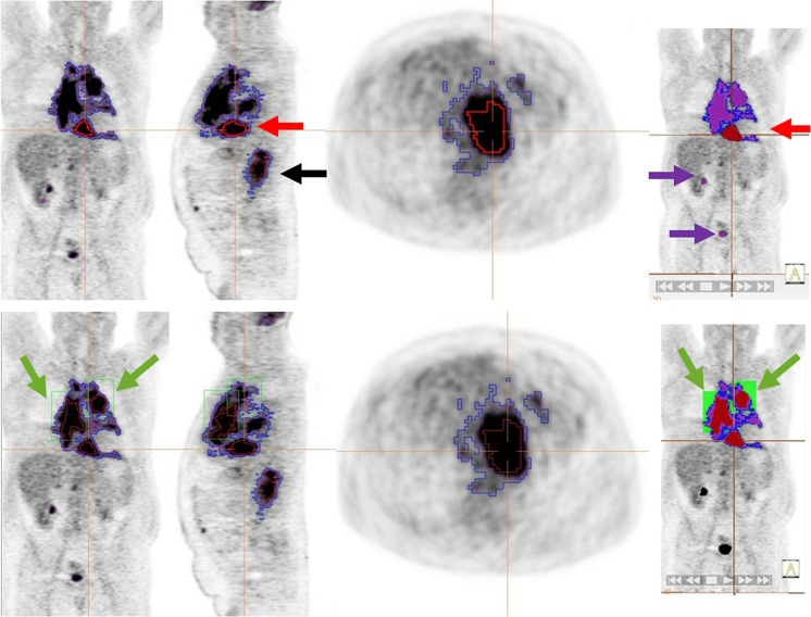 Fig. 6