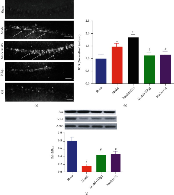 Figure 6