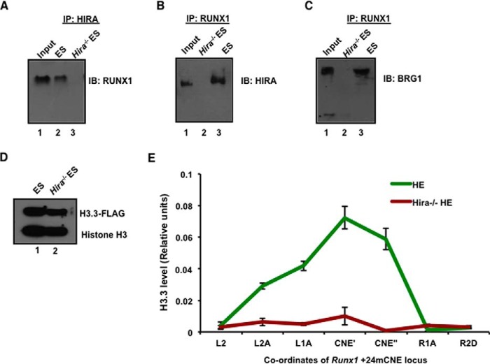 FIGURE 6.