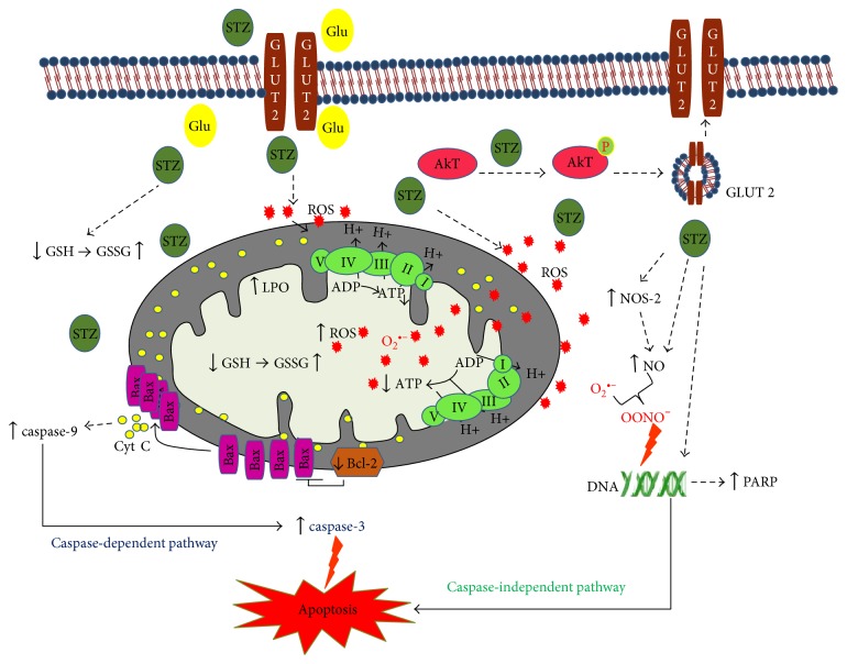 Figure 10