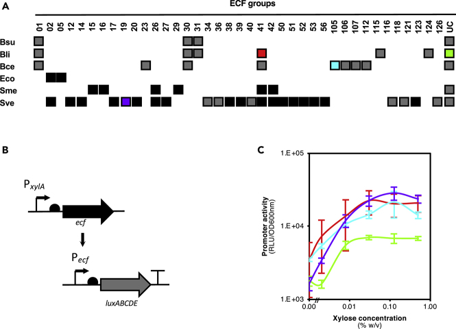 Figure 1