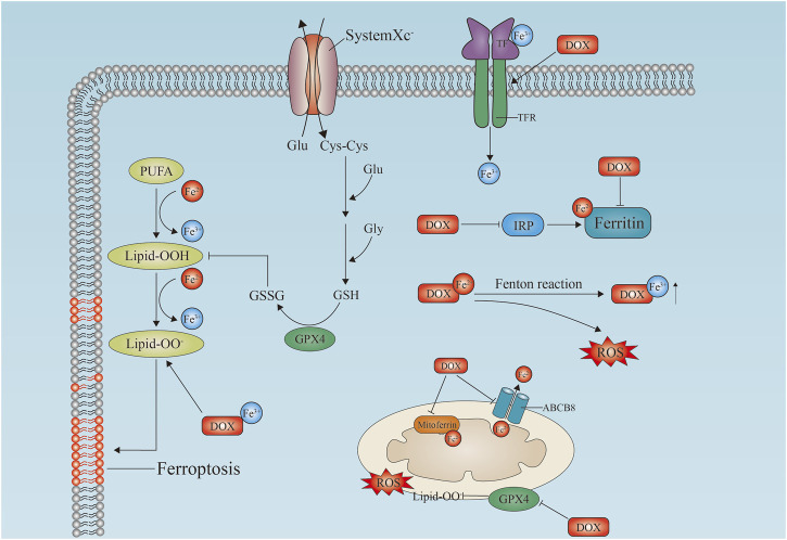 FIGURE 2