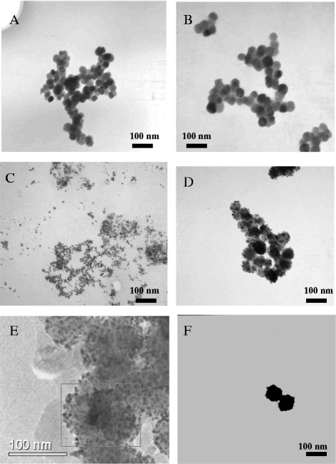 Figure 2 