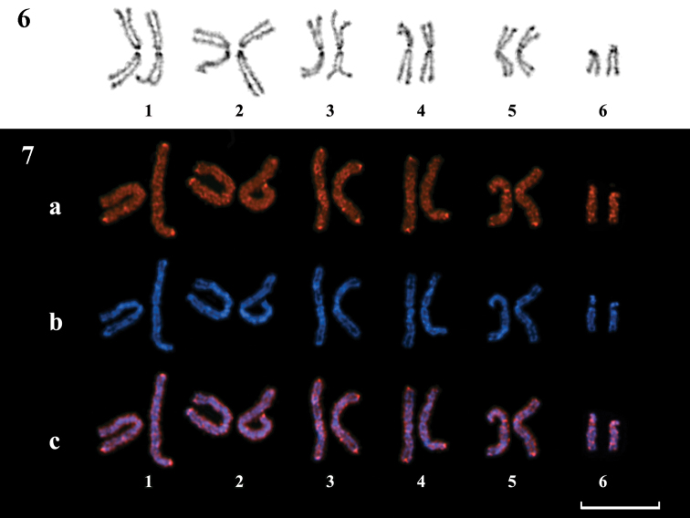 Figures 6–7.