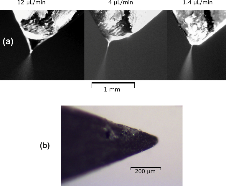 Fig. 3