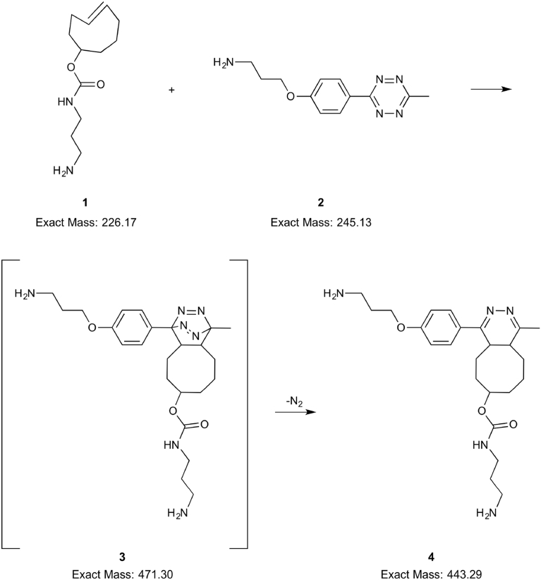 Fig. 4