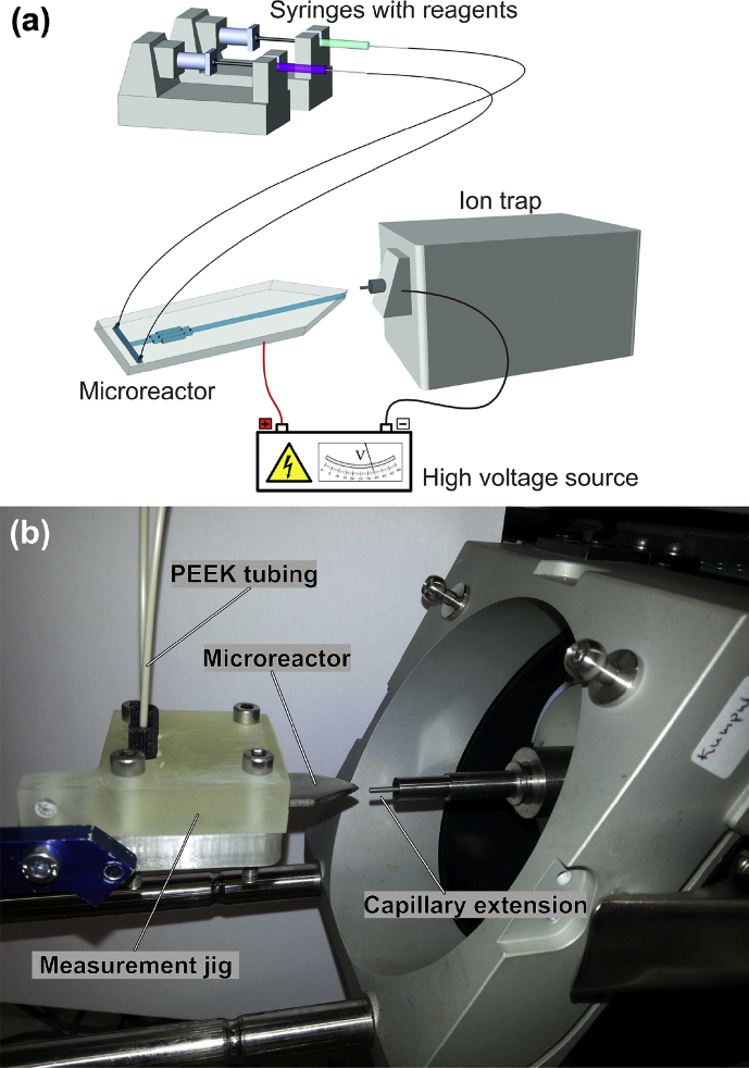 Fig. 1