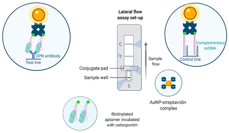 Figure 11