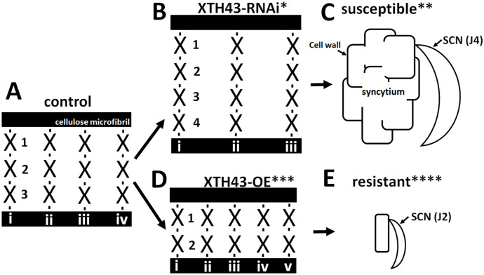 Fig 15