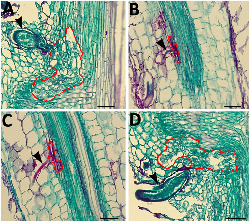 Fig 2