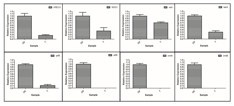 Figure 11