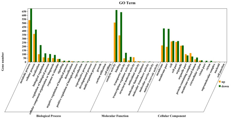 Figure 9