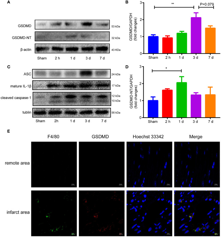 Figure 4